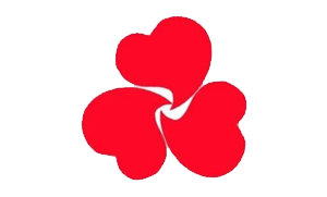 PDF去水印工具  无广告，不联网，全免费